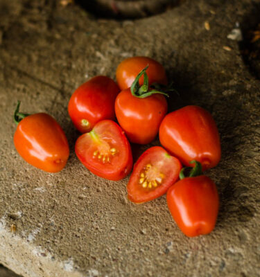 Tomates Gardener's sweetheart | Jardin des vie-la-joie | Semencier artisanal