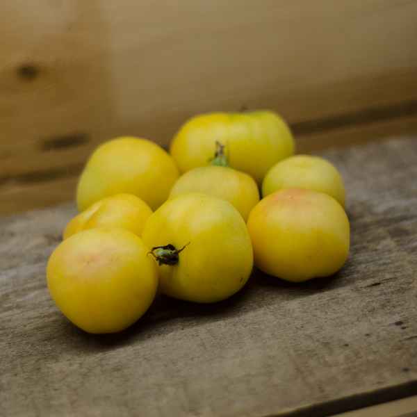 Tomate Pêche jaune (Lycopersicon esculentum) | Jardin des vie-la-joie | Artisan semencier