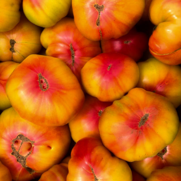 Semences artisanales de tomate Striped German (Lycopersicon esculentum) | Le jardin des vie-la-joie
