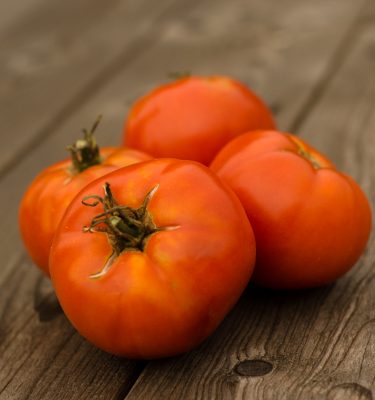 Tomate All Gills Purpose (Lycopersicon esculentum) | Le jardin des vie-la-joie| Artisan semencier du Québec