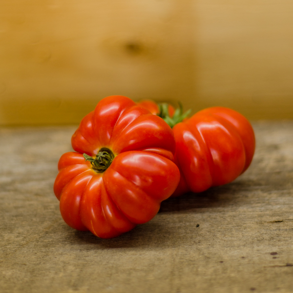 Tomate Costulato Genovese (Lycopersicon esculentum) | Jardin des vie-la-joie | Artisan semencier