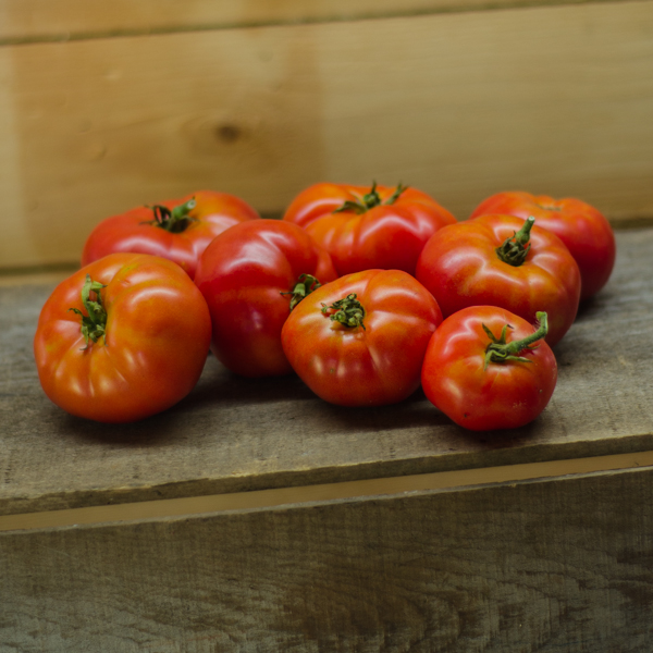 Tomate Moskvich (Lycopersicon esculentum) | Jardin des vie-la-joie | Artisan semencier