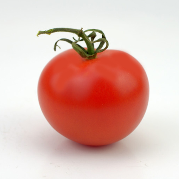 Tomate Montreal Tasty (Lycopersicon esculentum) | Jardin des vie-la-joie | Artisan semencier