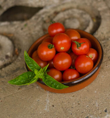 Tomate Sweetie (Lycopersicon esculentum) | Jardin des vie-la-joie | Artisan semencier